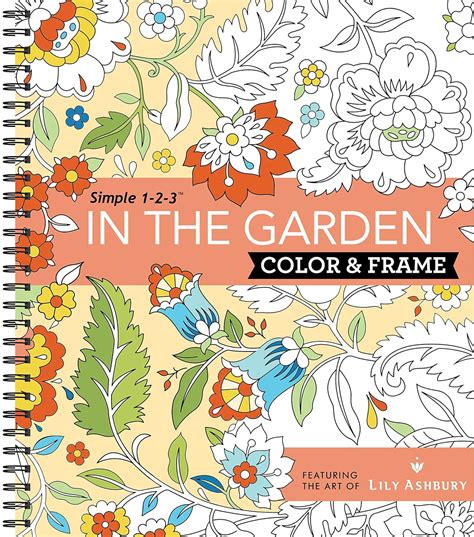 Download Color  Frame Coloring Book  Inspiration By Publications International