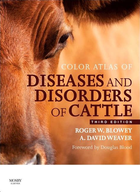 Full Download Color Atlas Of Diseases And Disorders Of Cattle By Roger W Blowey