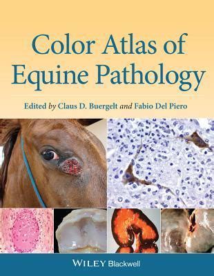 Read Color Atlas Of Equine Pathology By Claus D Buergelt