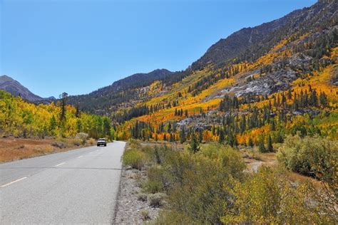 Colorado Landscape Materials in Wheat Ridge, CO