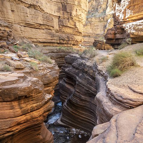 Colorado Plateau Explorer Page 3 Grand Canyon Trust