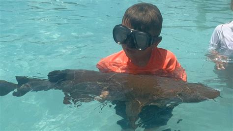 Colorado boy bit by shark on family vacation