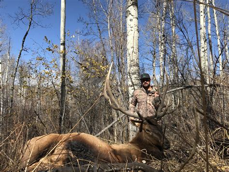 Colorado leftover elk tags. COLORADO PARKS & WILDLIFE • 6060 Broadway, Denver, CO 80216 • 303-297-1192 • cpw.state.co.us BIG-GAME HUNTERS: Most elk, deer, pronghorn and bear licenses not issued through the primary draw are available in the secondary draw that is open to anyone, whether you applied for ... after leftover licenses go on sale. No new hunt codes will be ... 