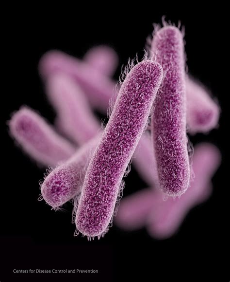 Colorado saw unusually high levels of intestinal disease in 2022, including antibiotic-resistant cluster