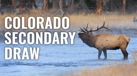 Colorado secondary draw. The big game application period begins around March 1, 2023, and ends April 4, 2023 (tentative) with draw results available by mid-May (elk, deer, antelope, moose). Draw results for sheep and goat are released mid-April. Hunters may apply for tags with Colorado Parks and Wildlife here. Huntin’ Fool’s Colorado page is an excellent, updated ... 