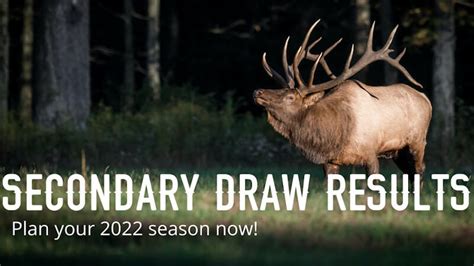 Colorado secondary draw results. If you didn't draw a tag for the 2021 season in Colorado, here is a second chance!Check out the full article we did on the Colorado Secondary Draw here: http... 