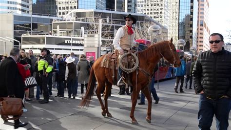 Colorado stock show. The National Western Stock Show 2023 Grand Champion and Reserve Champion took center stage at the Brown Palace in a decades-long tradition. On Friday, they walked the red carpet to preside over ... 