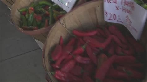 Colorado weather puts a damper on chile pepper crop