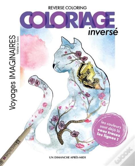 Coloriage inversé, voyage magique : Reverse coloring