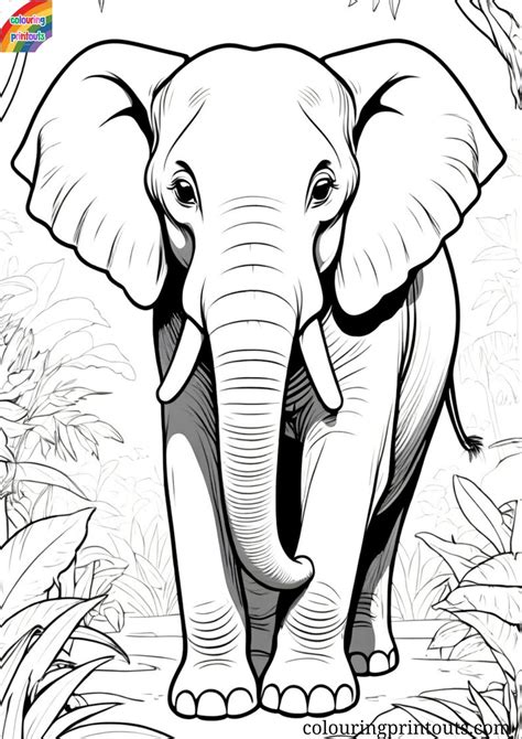 Coloring An Elephan