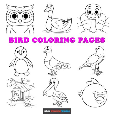 Coloring Birds