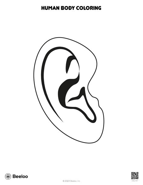 Coloring Book Ear