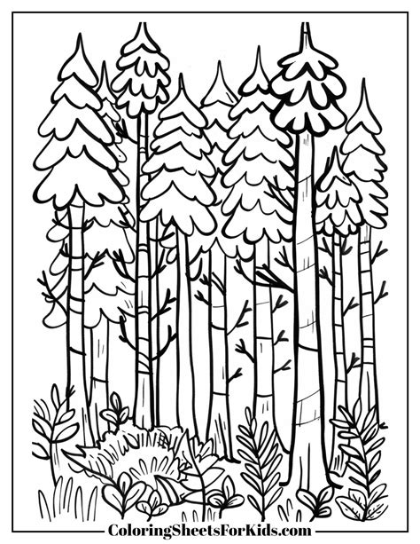Coloring Book Fores