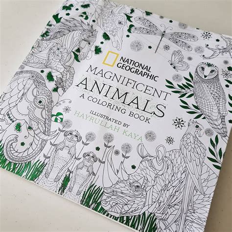 Coloring Book Illustrators