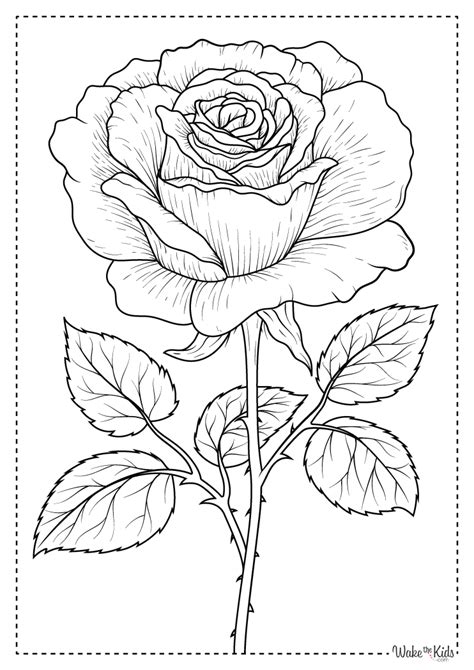 Coloring Sheets For Best Friends