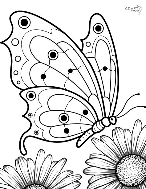 Coloring Butterfly