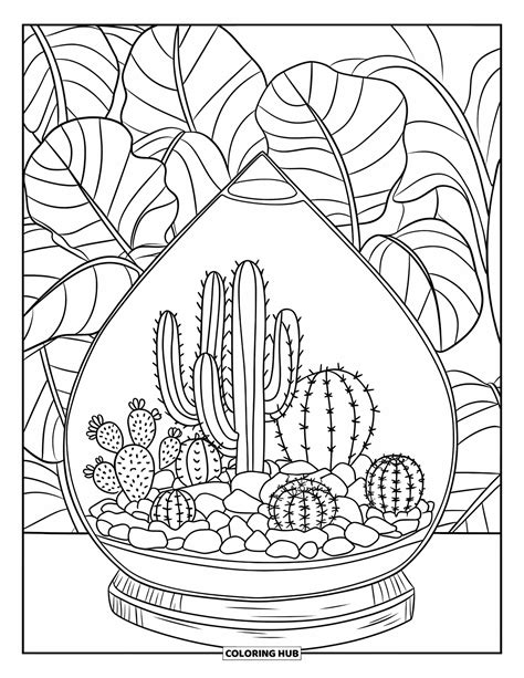 Coloring Cactus Plan