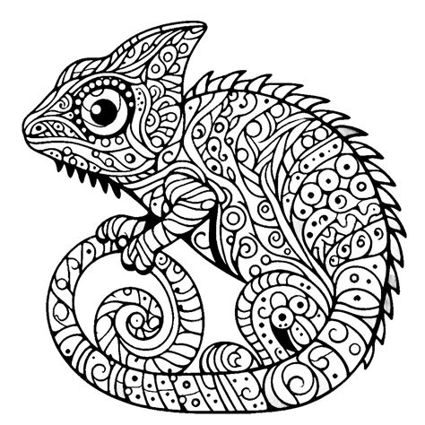 Coloring Chameleon