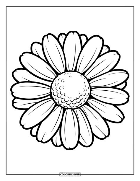 Coloring Daisy