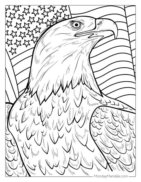 Coloring Eagle