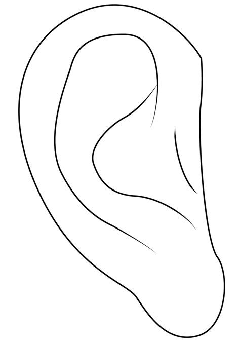 Coloring Ear