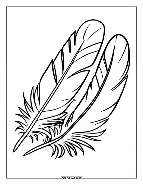 Coloring Feathers
