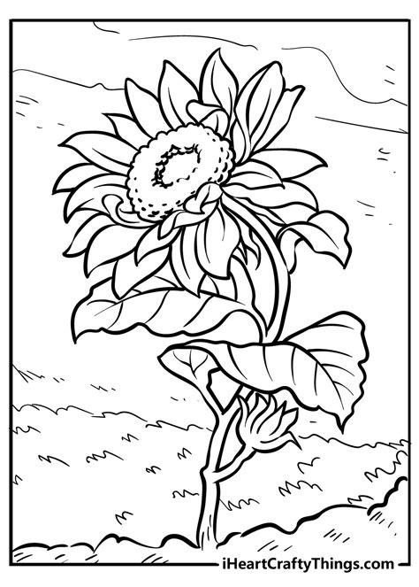 Coloring For Dementia