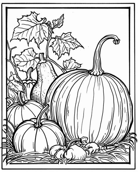 Coloring Gourds