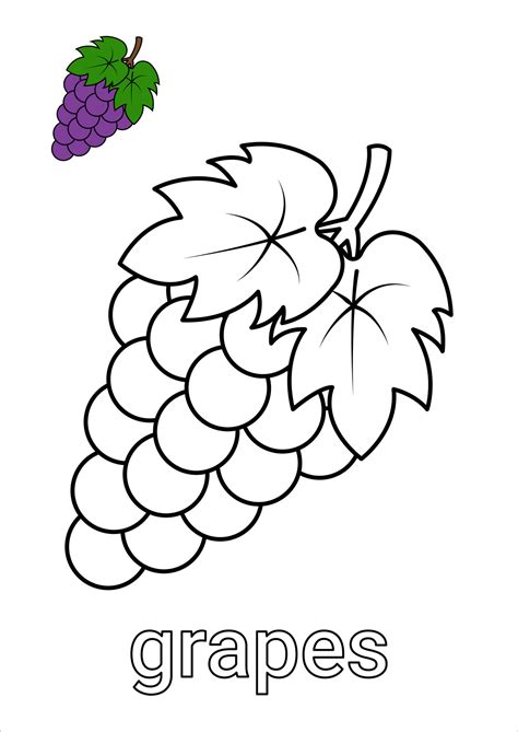 Coloring Grap