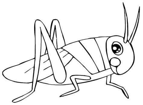 Coloring Grasshopper