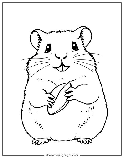 Coloring Hamster