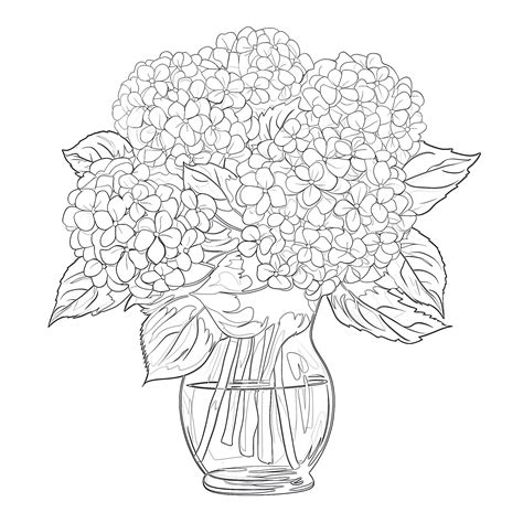 Coloring Hydrangeas