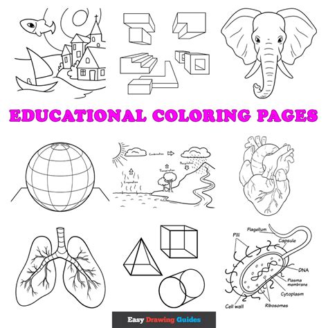 Coloring Learn