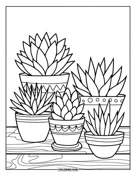 Coloring Oages