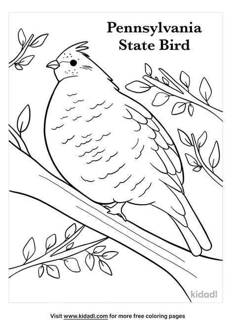 Coloring Pa