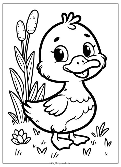 Coloring Pafes
