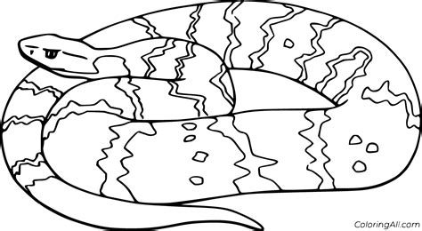 Coloring Page Boa