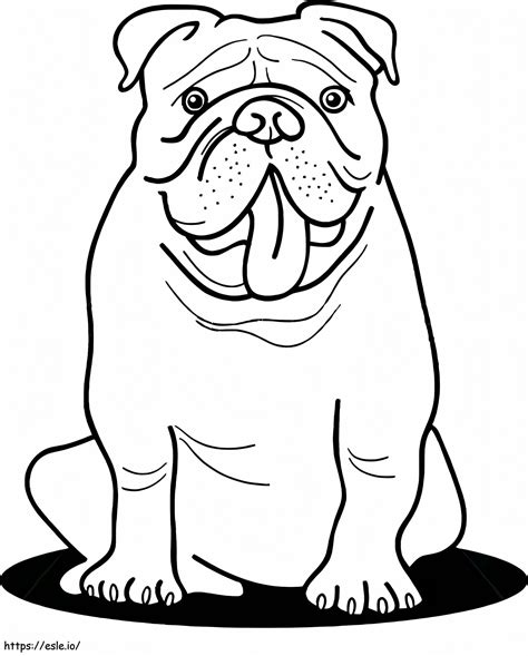 Coloring Page Bulldog