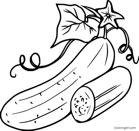 Coloring Page Cucumber