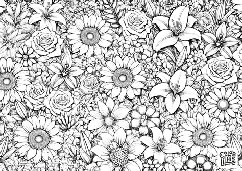 Disney Princess Coloring Pages Free Printable