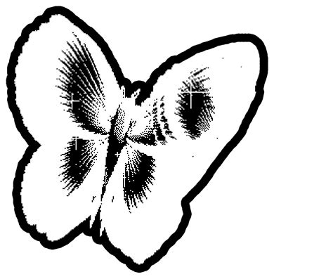 Coloring Page Gif