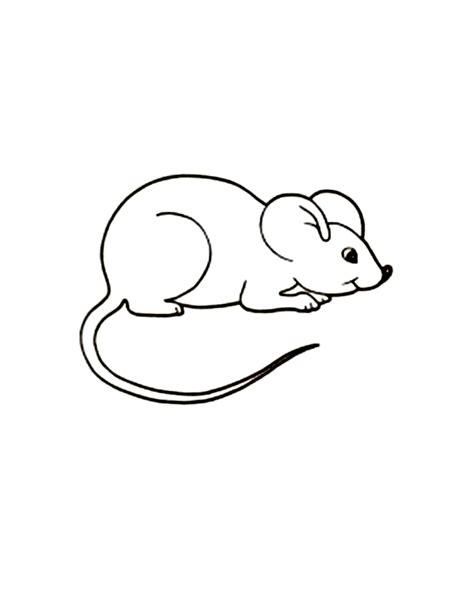 Coloring Page Mouse