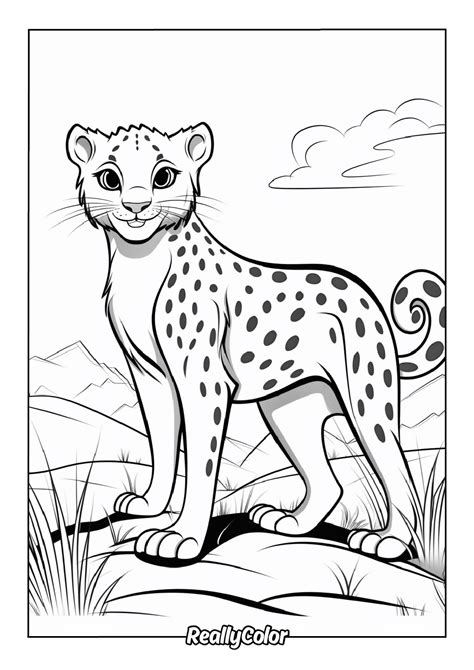 Coloring Page Of Cheeta