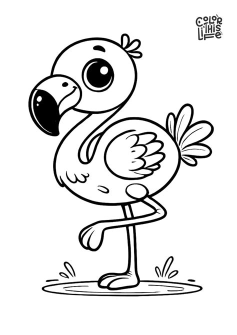 Coloring Page Of Flamingo