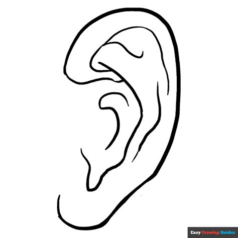 Coloring Page Of The Ear
