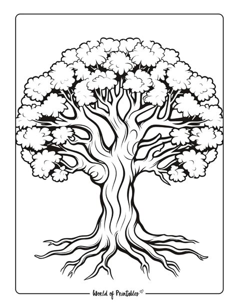 Coloring Page Tree