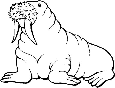 Free Coloring Pages Of Snowflakes