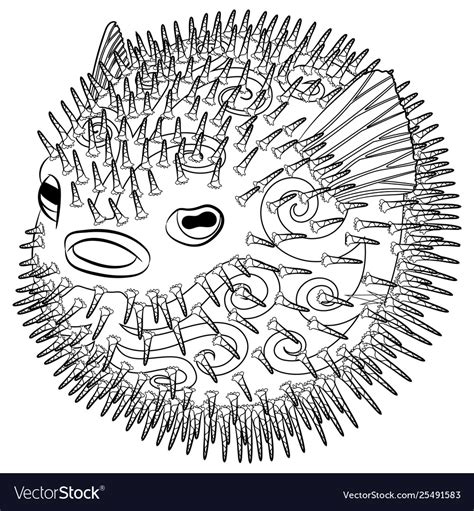 Coloring Page With Puffer Fish In Patterned Style Vector Image The