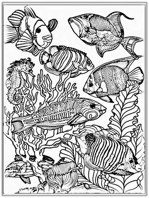 Coloring Pages Aquariu