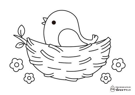 Coloring Pages Bird Nest